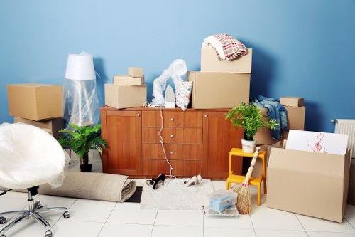 Reviewing records during a removals complaint investigation